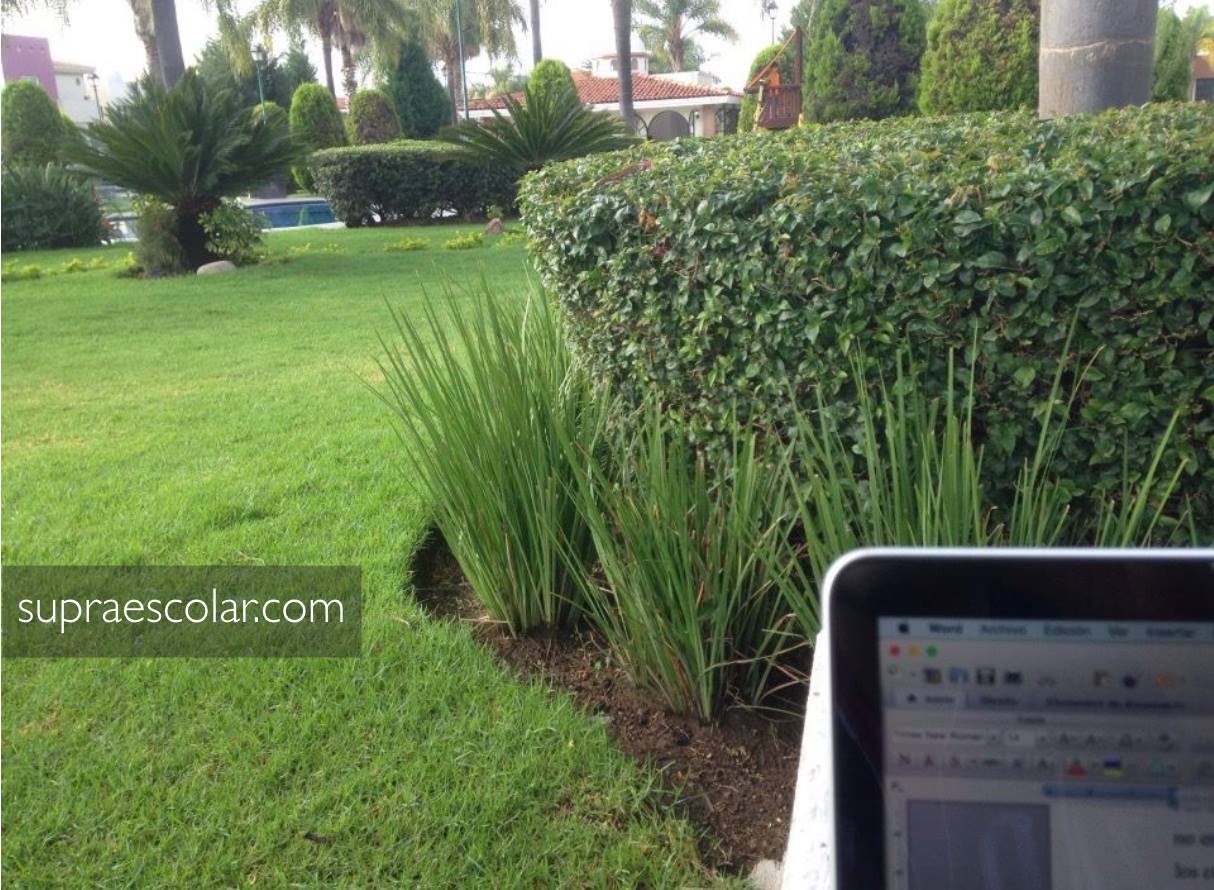 b1ad49795566696138ec1aa7f6b95961